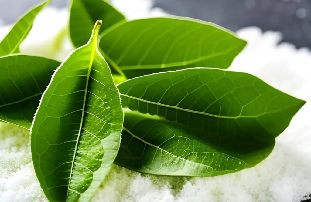 how to freeze curry leaves