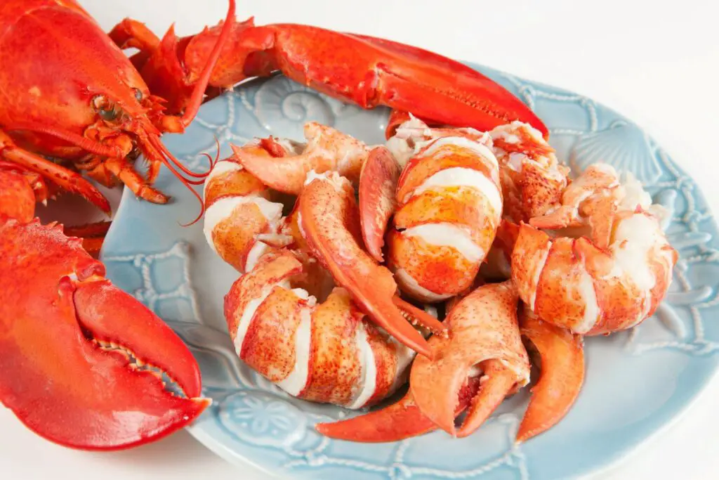 how to freeze lobster meat