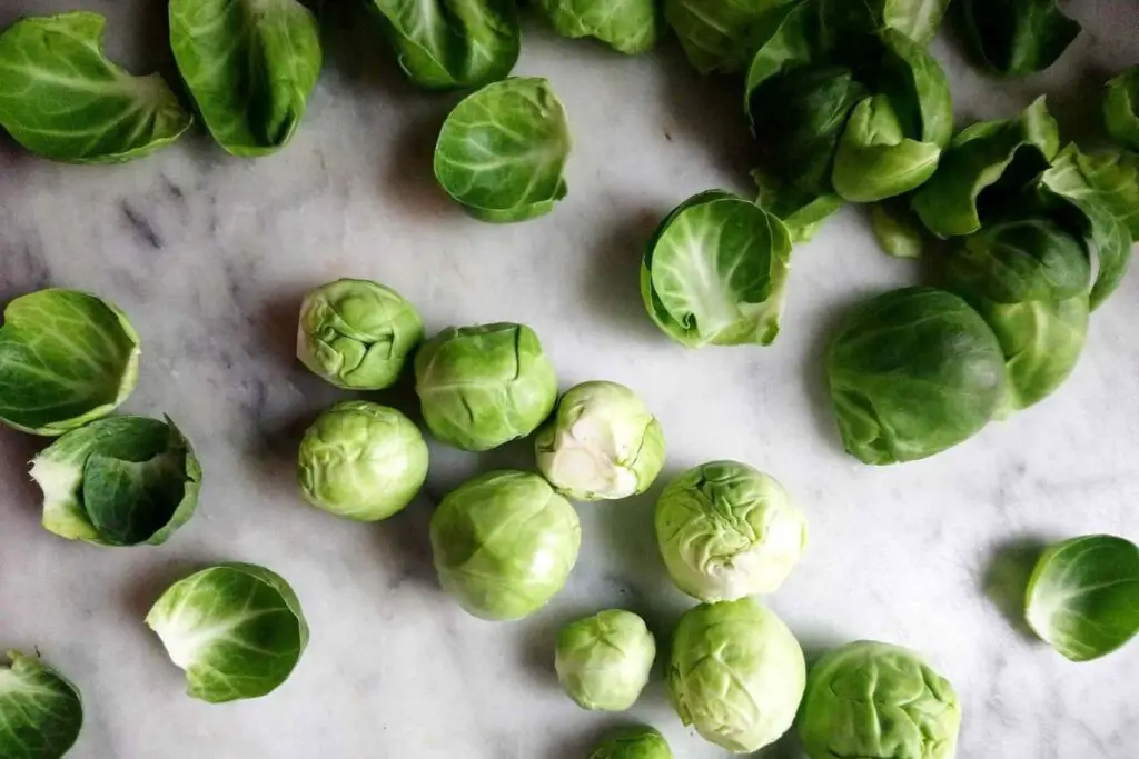 how to freeze brussels sprouts