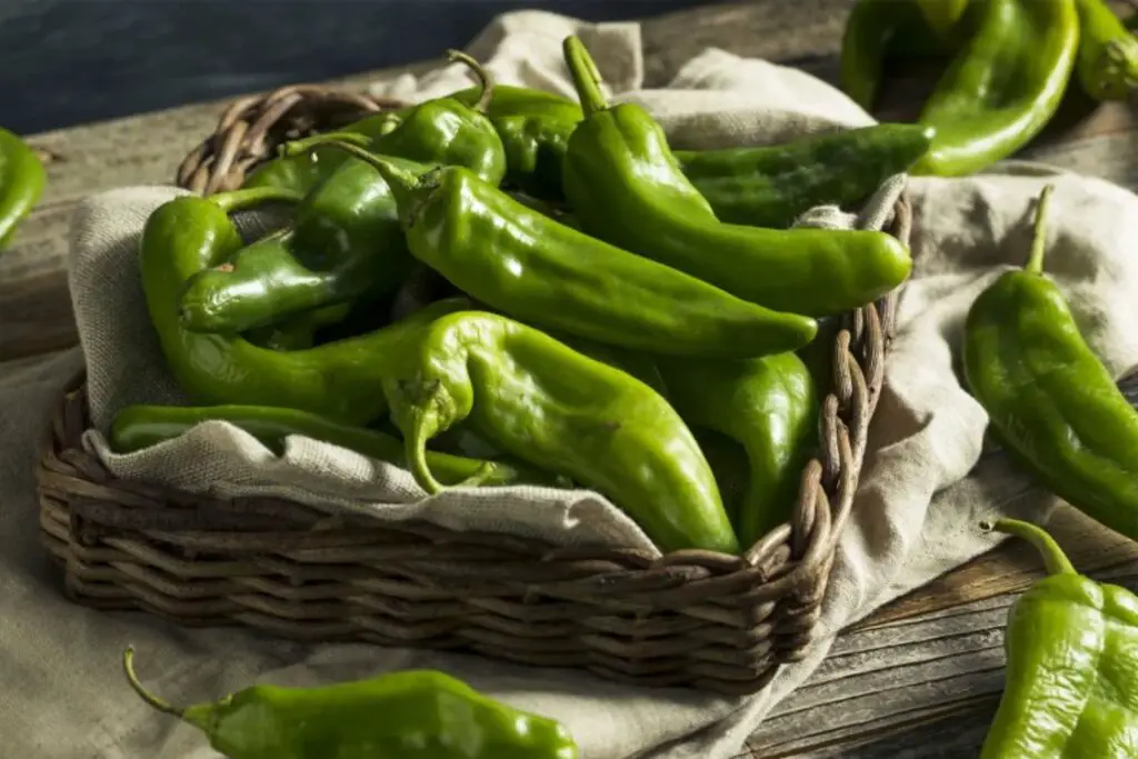 how to freeze hatch chilies