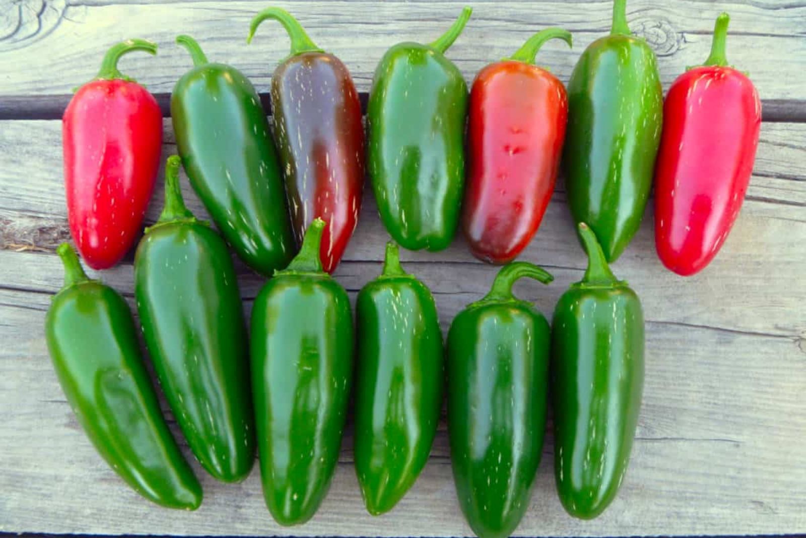 how to freeze jalapeño peppers