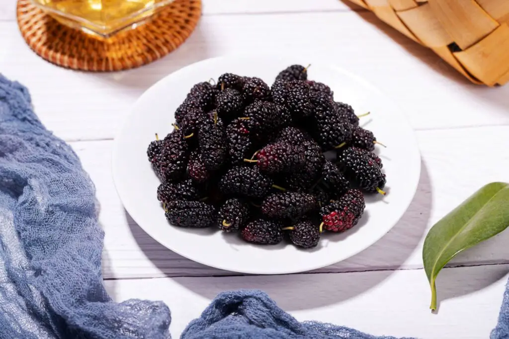how to freeze mulberries