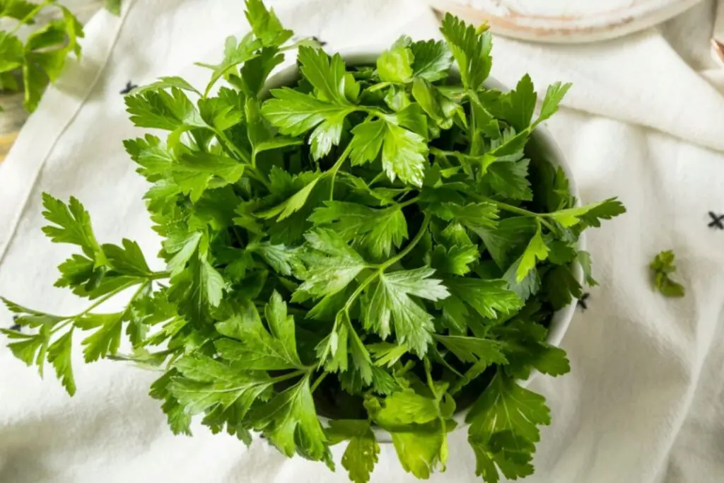 how to freeze parsley