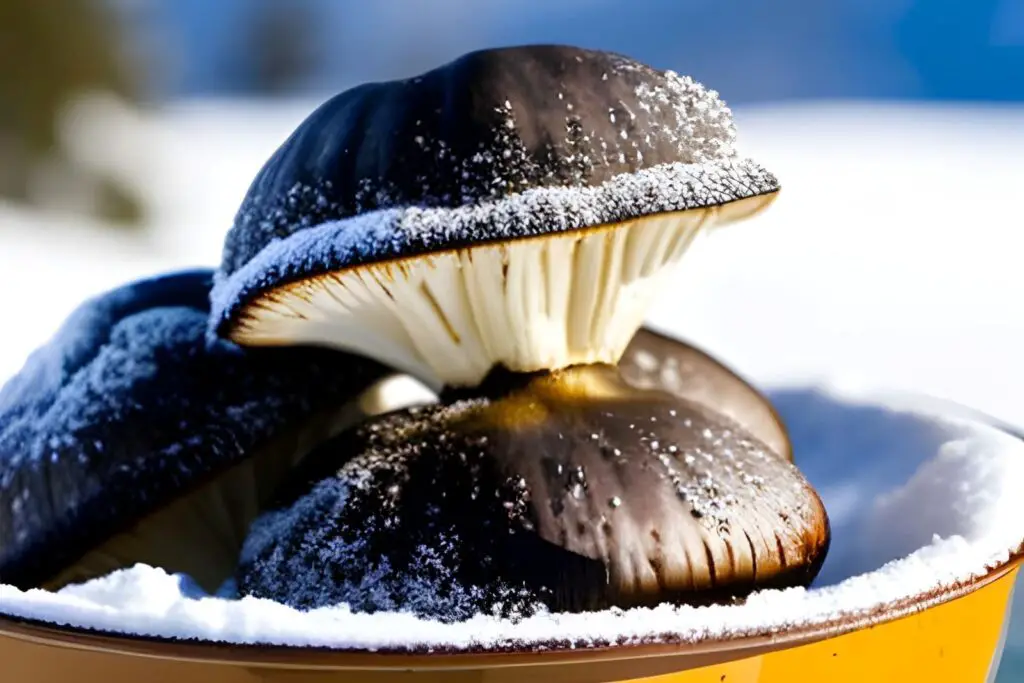 how to freeze portobello mushrooms