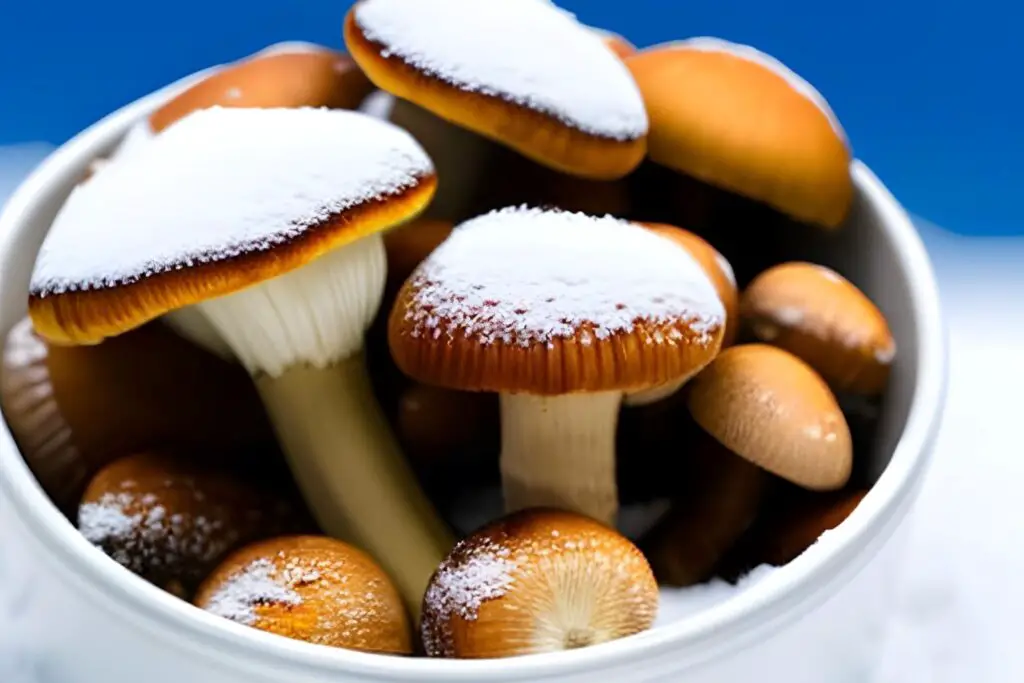 how to freeze puffball mushrooms
