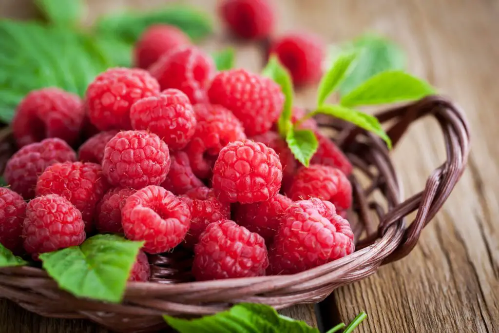 how to freeze raspberries
