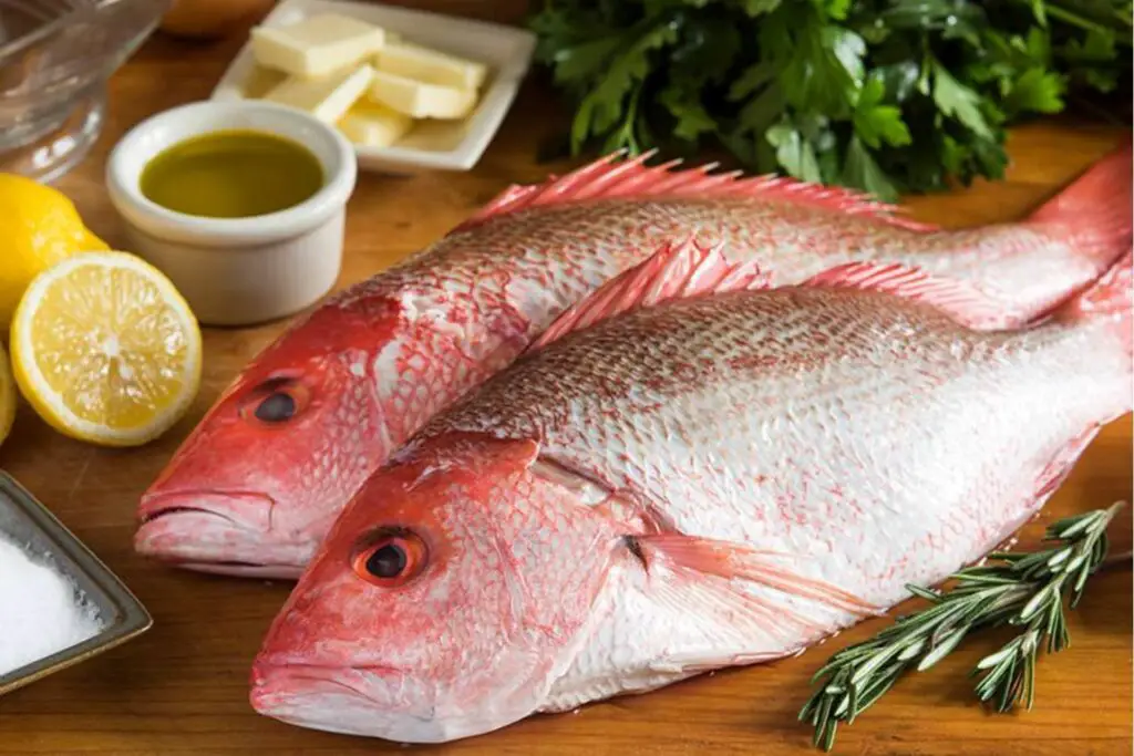 how to freeze red snapper