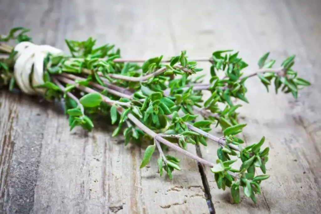 how to freeze thyme