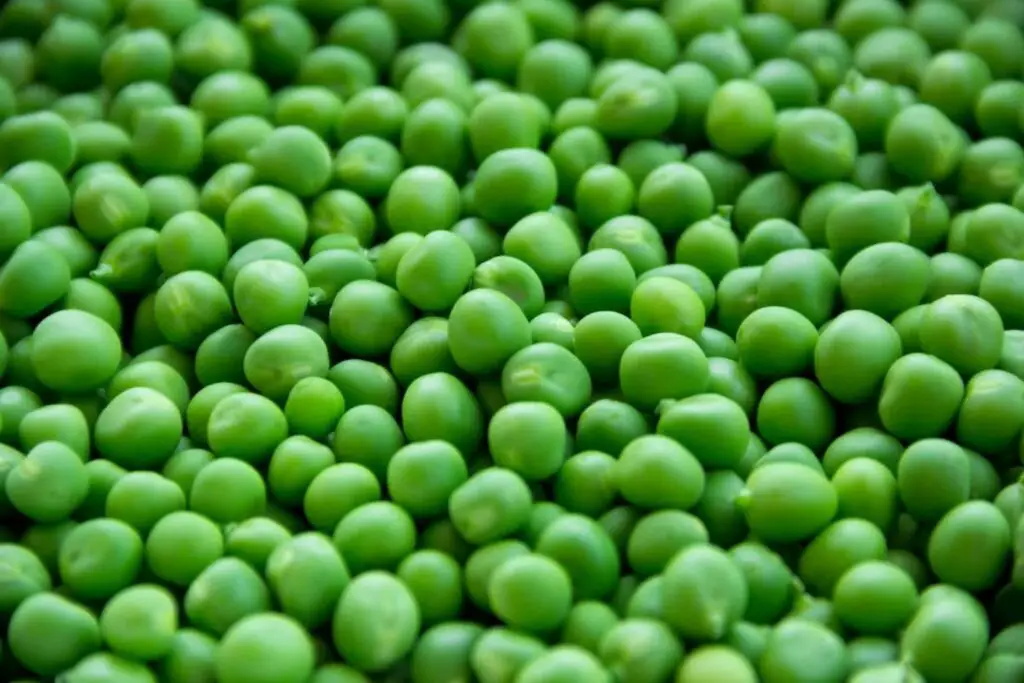 how to freeze acre peas