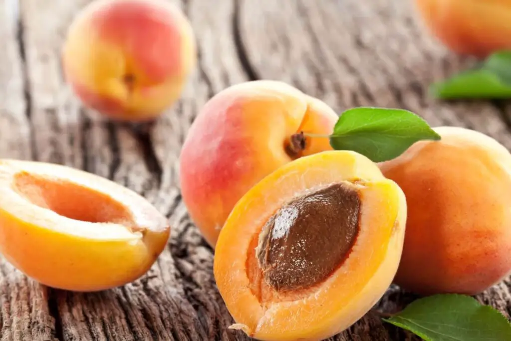 how to freeze apricots