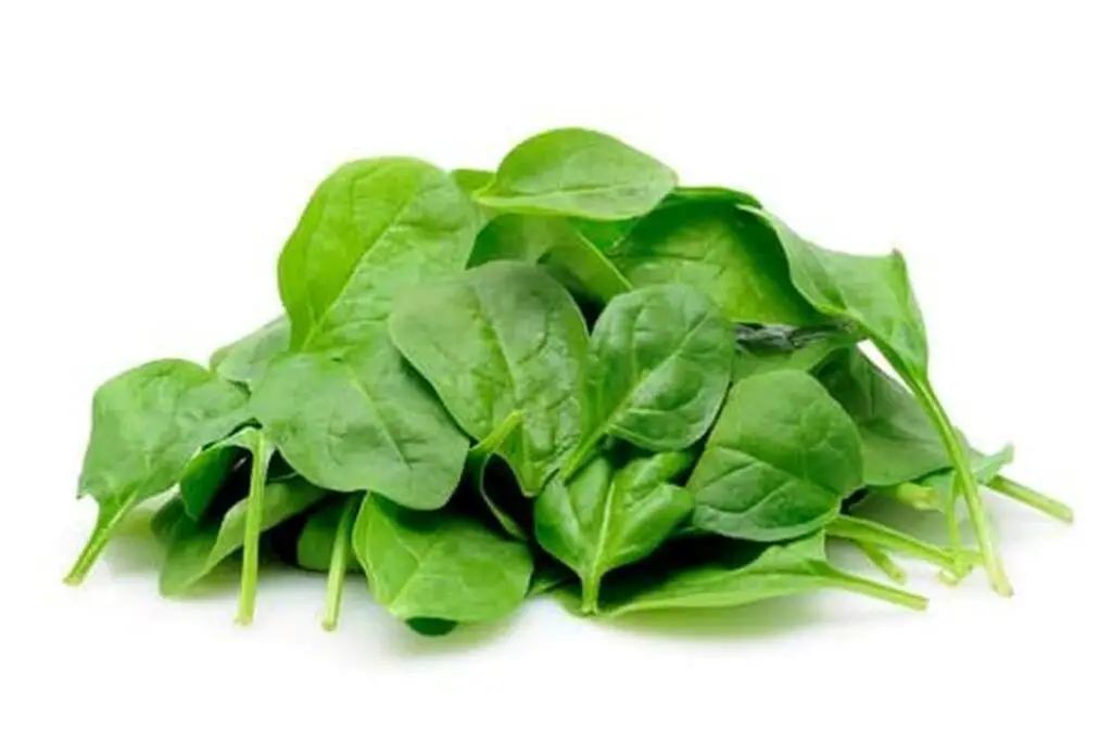 how to freeze baby spinach