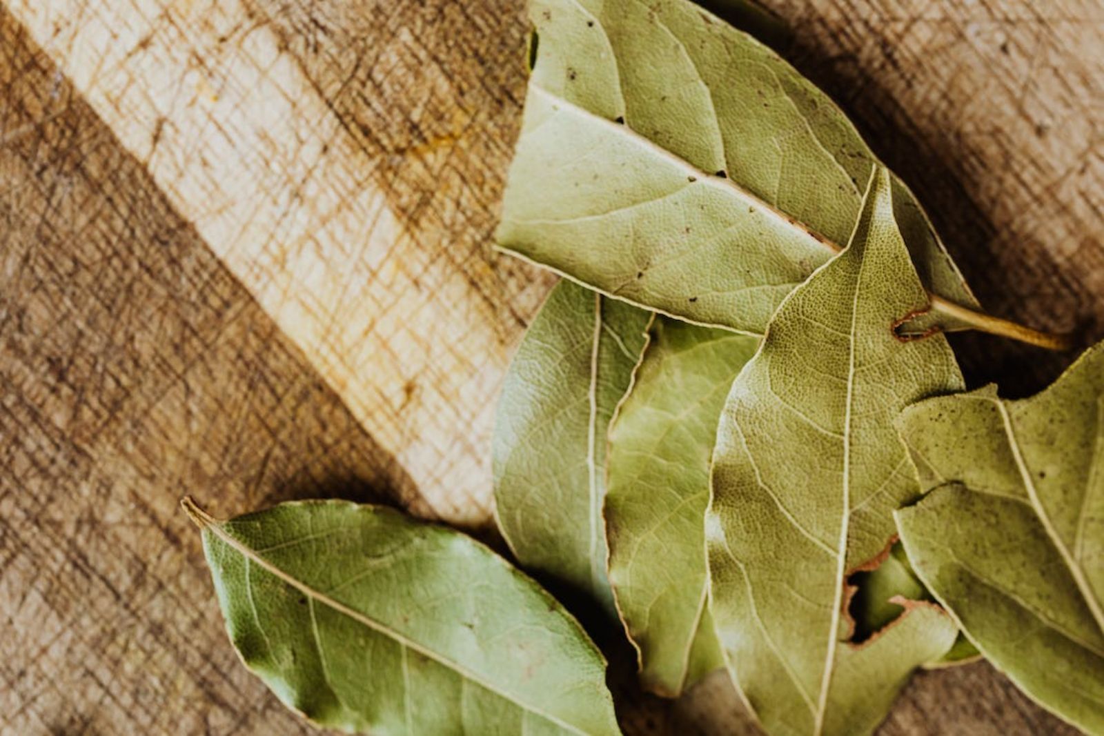 how to freeze bay leaves