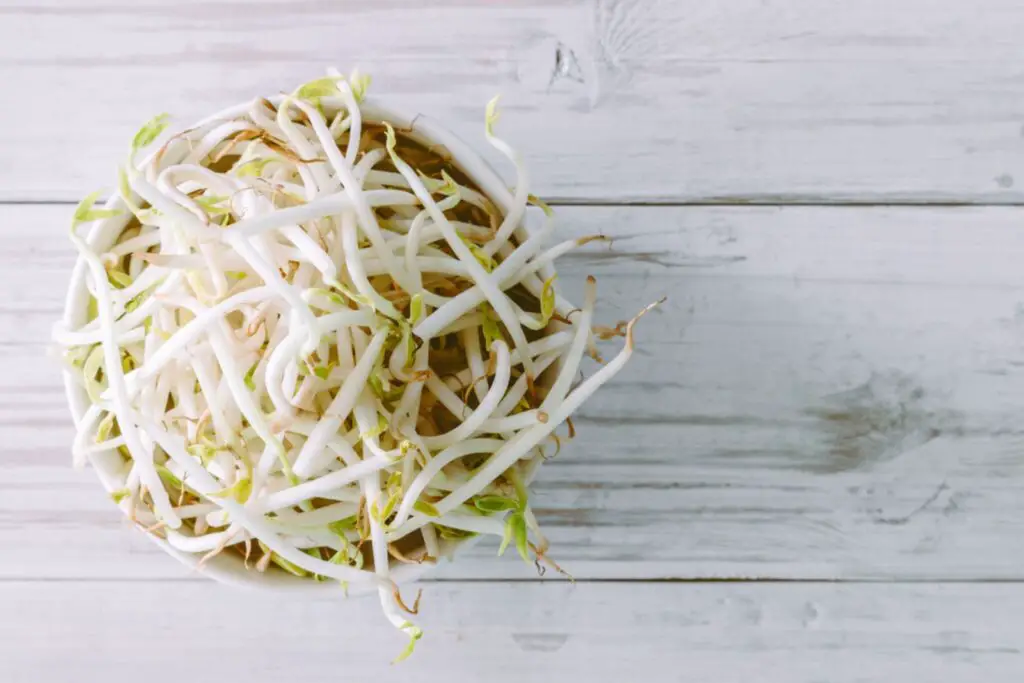 how to freeze bean sprouts