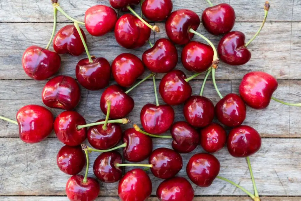 how to freeze bing cherries