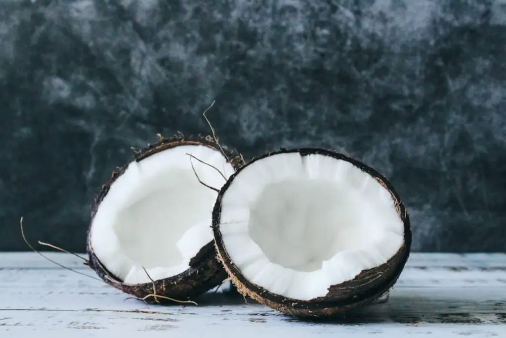 how to freeze coconut
