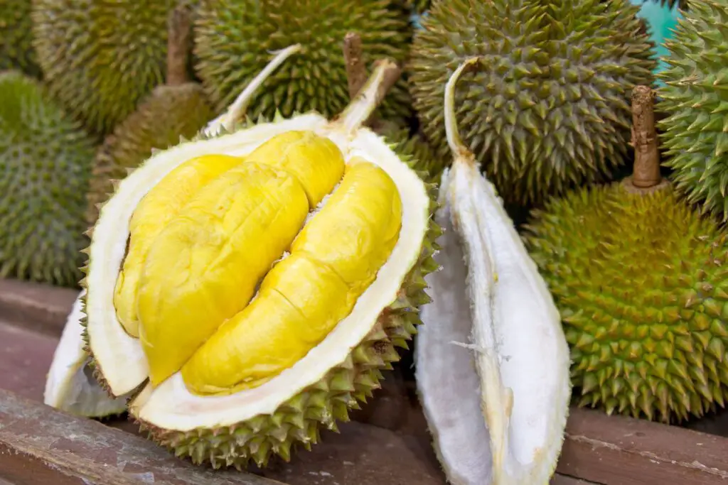 how to freeze durian