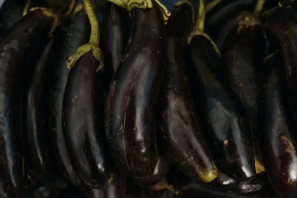 how to freeze eggplants