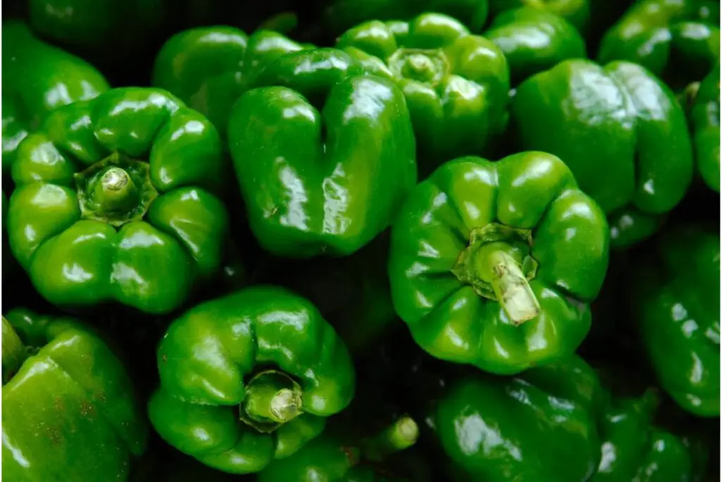 how to freeze green bell peppers