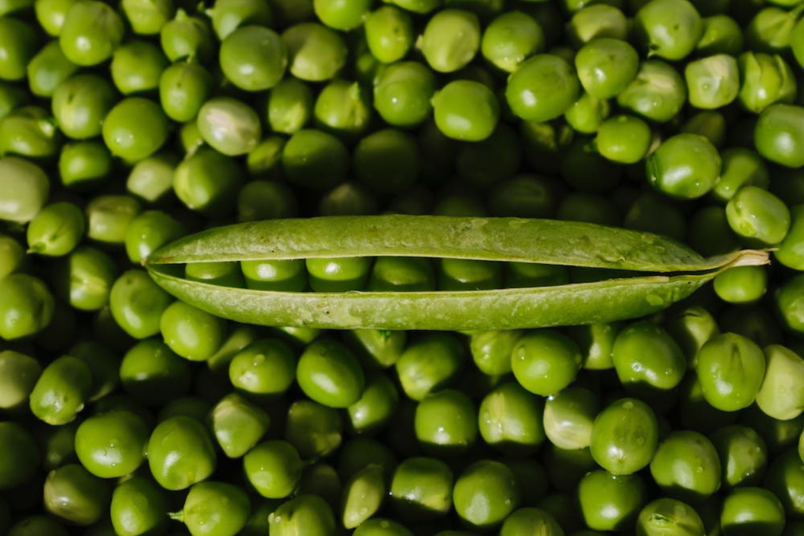 how to freeze greens peas