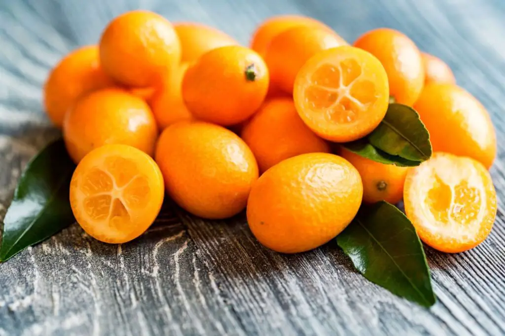 how to freeze kumquats