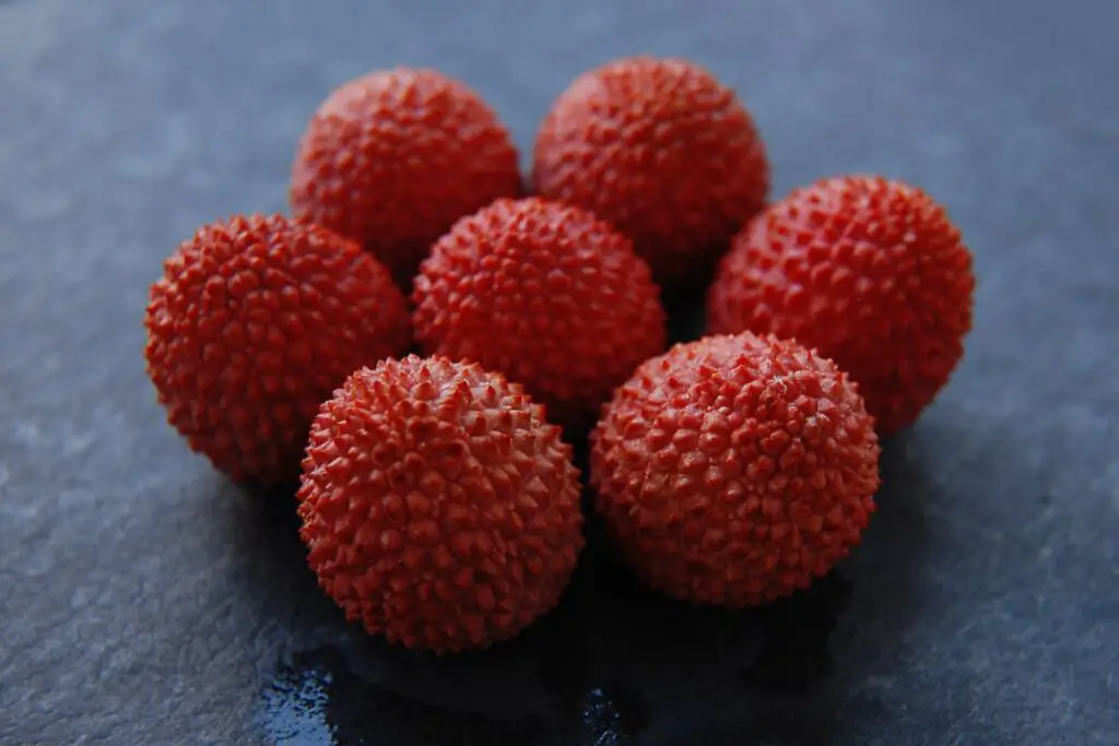 how to freeze lychees