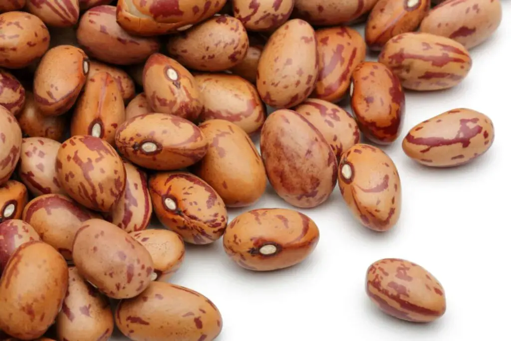 how to freeze pinto beans