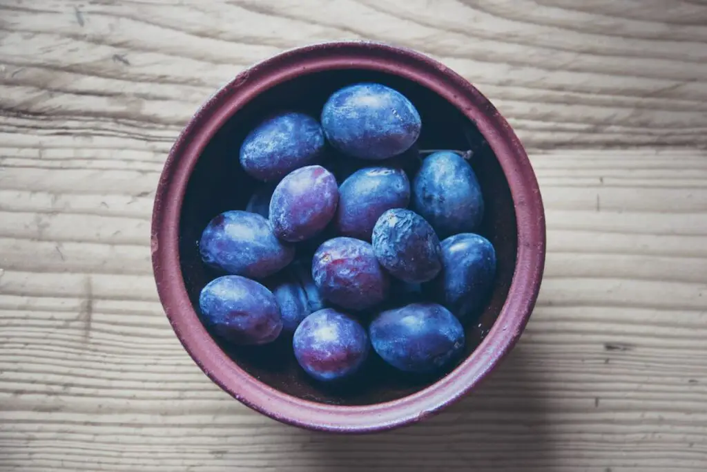 how to freeze plums