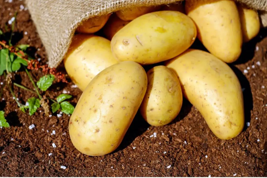 how to freeze potatoes