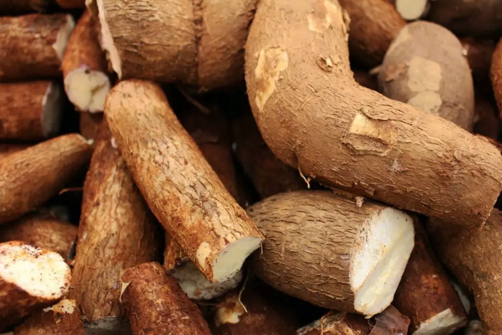 how to freeze cassava