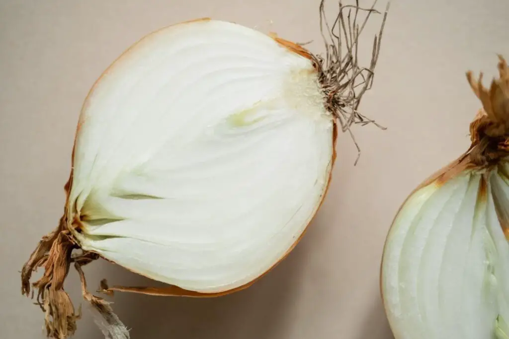 how to freeze white onions