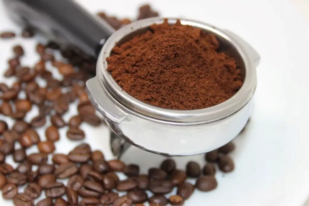 how to freeze coffee grounds