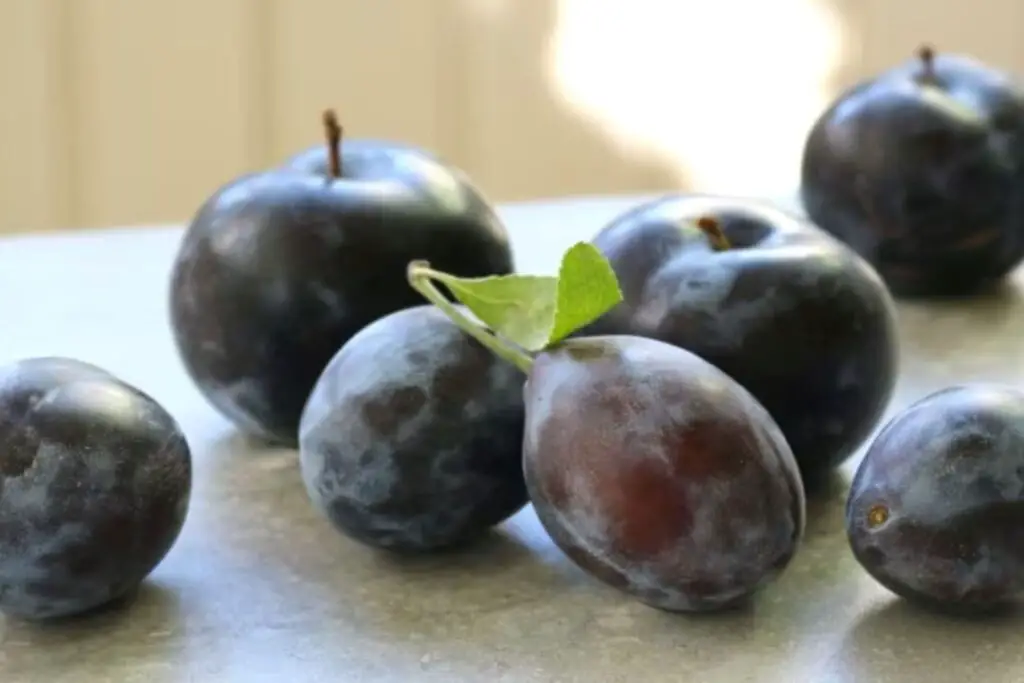 how to freeze italian plums
