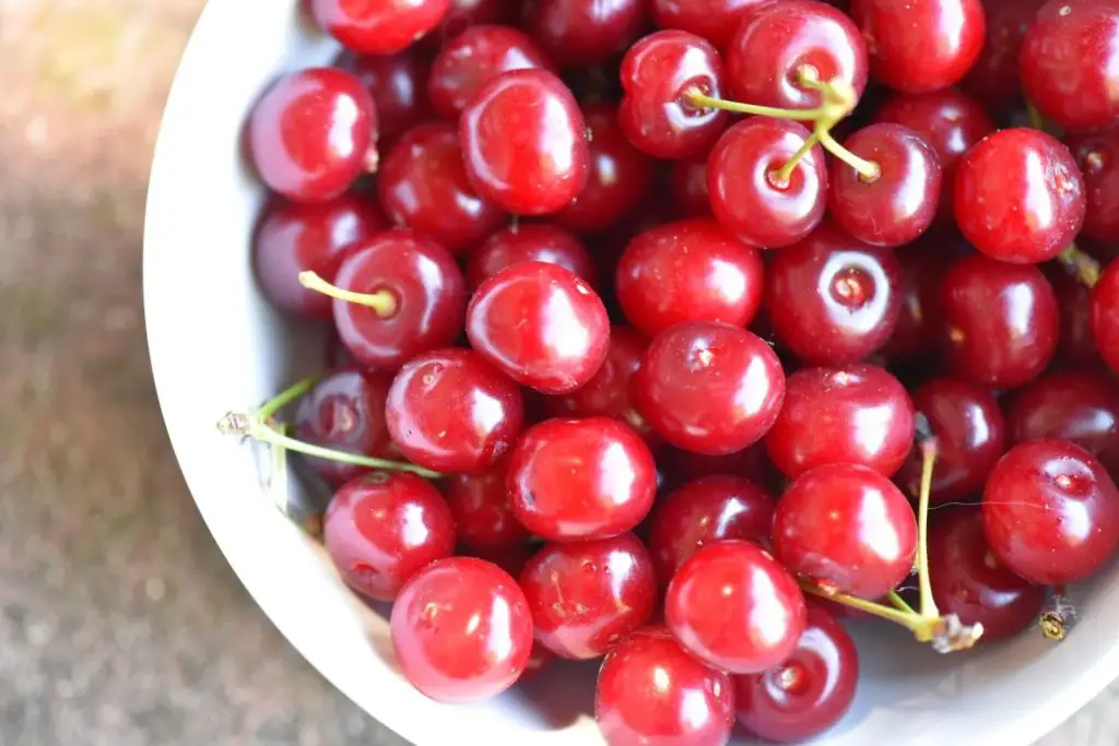 how to freeze montmorency cherries