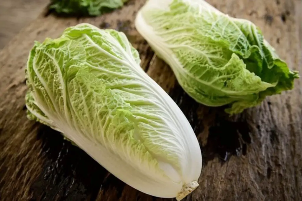 how to freeze napa cabbage