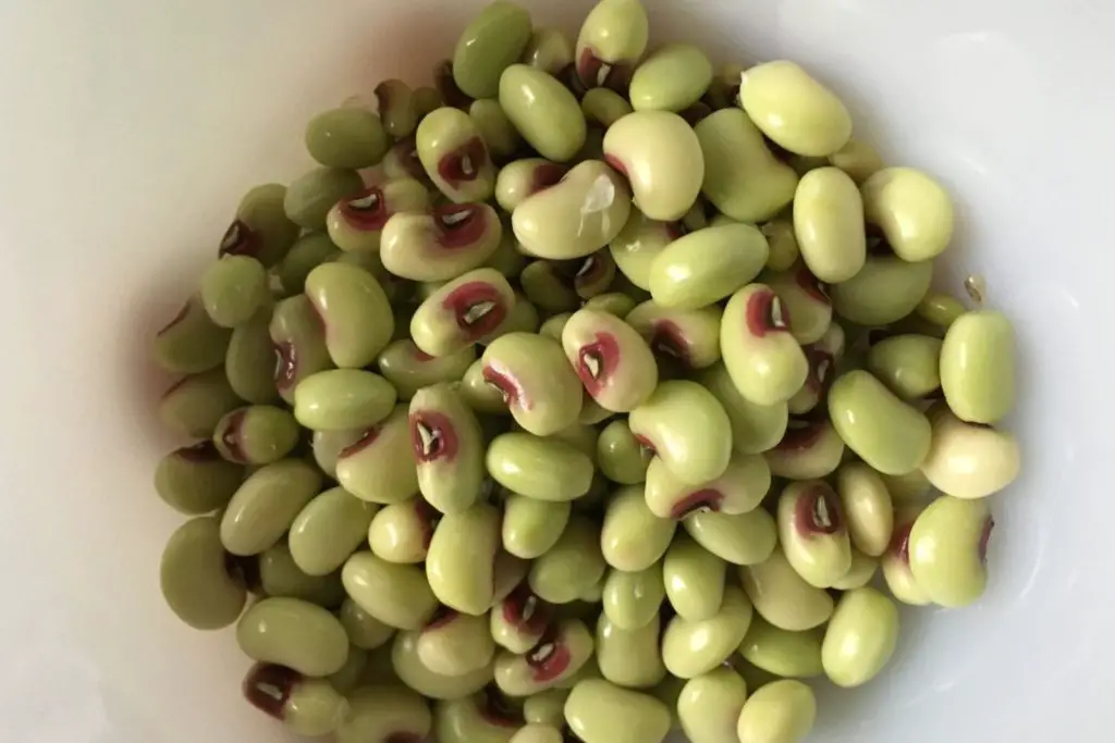 how to freeze pink eyed peas
