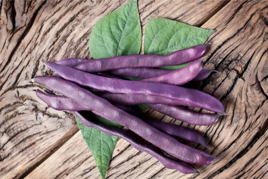 how to freeze purple beans