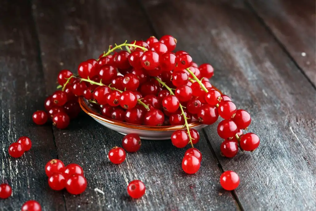 how to freeze red currants