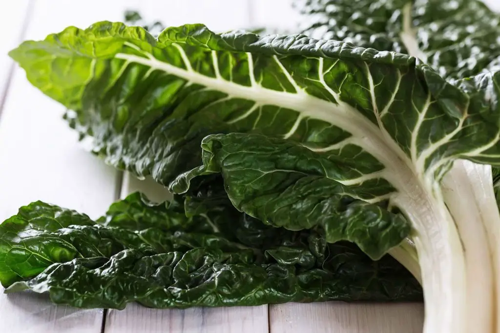 how to freeze silverbeet