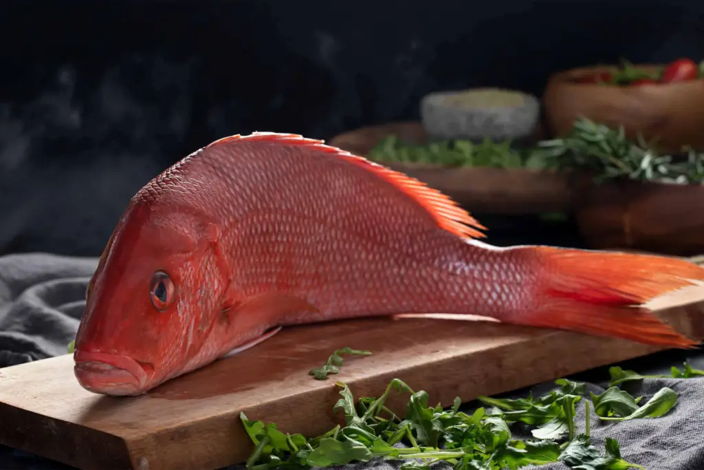 how to freeze snapper