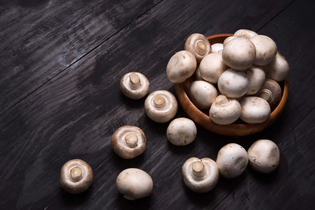 how to freeze white mushrooms