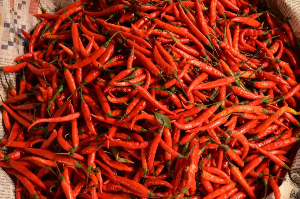 How to freeze red chillies