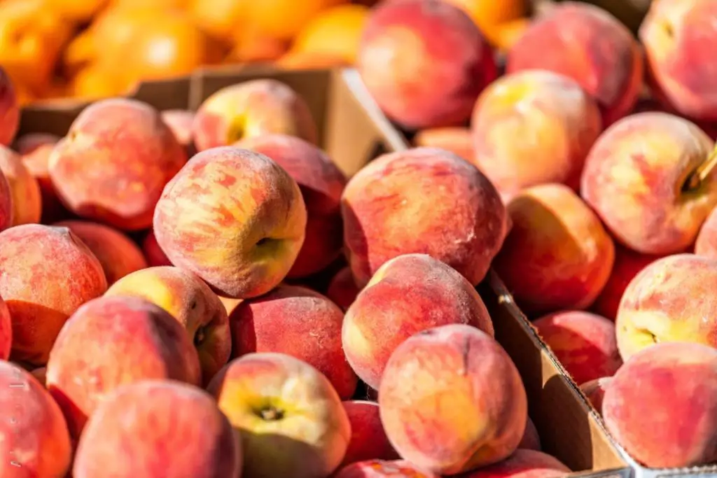 how to freeze colorado peaches