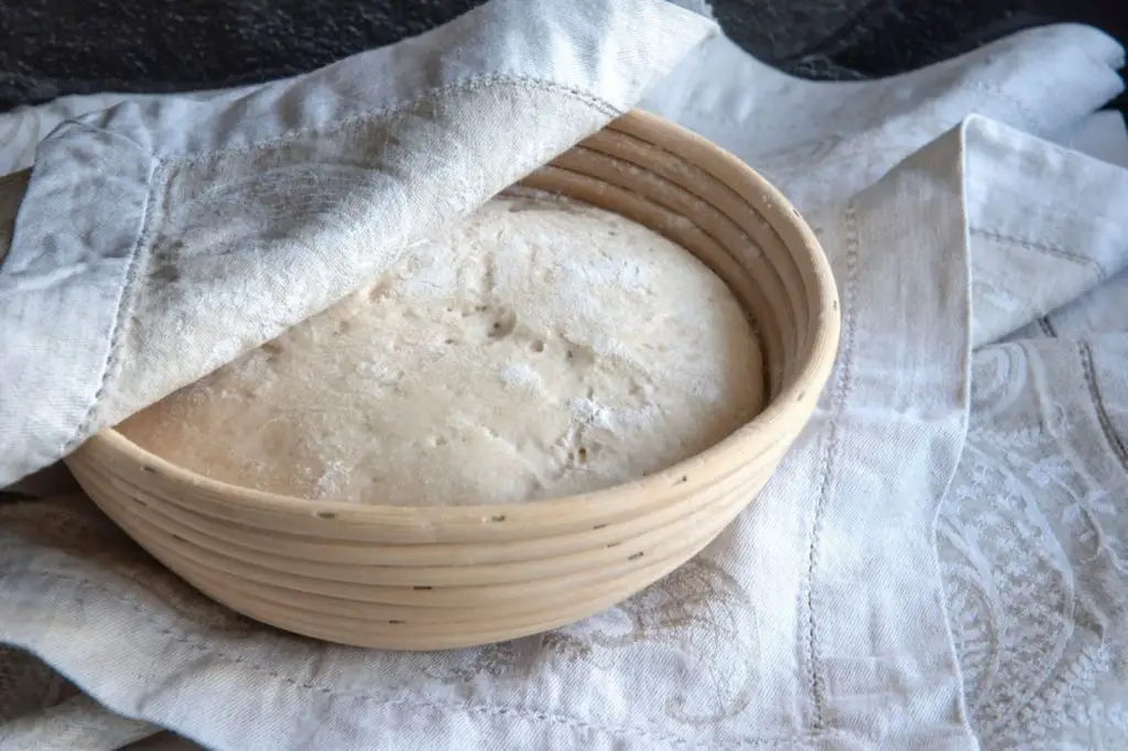 how to freeze dough with yeast