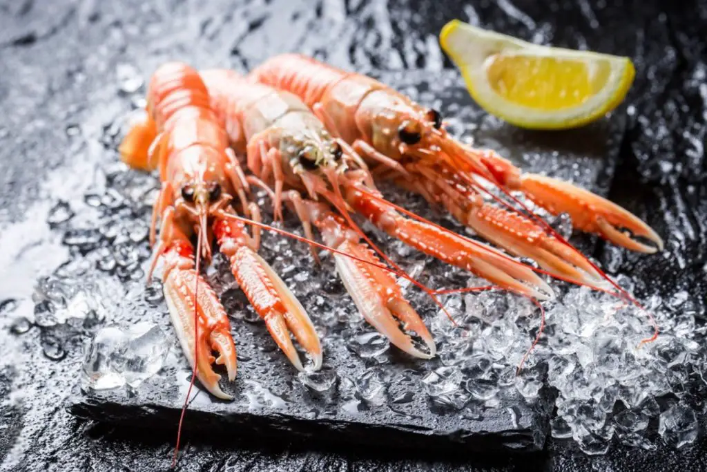 how to freeze langoustines