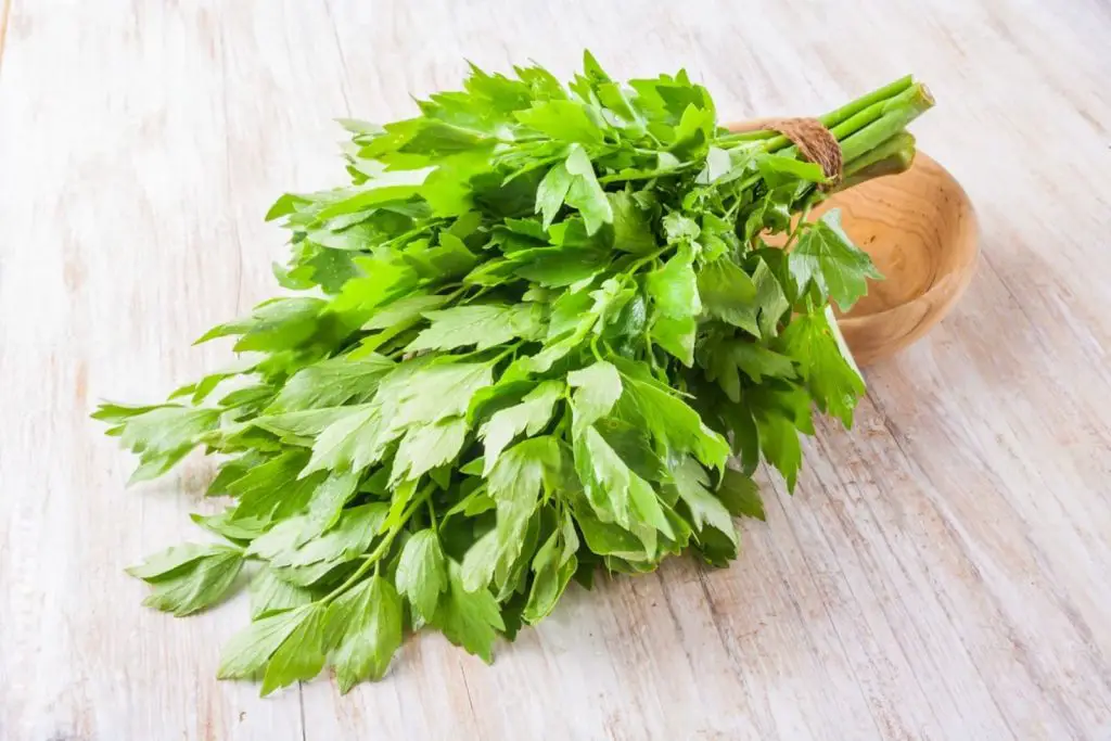 how to freeze lovage
