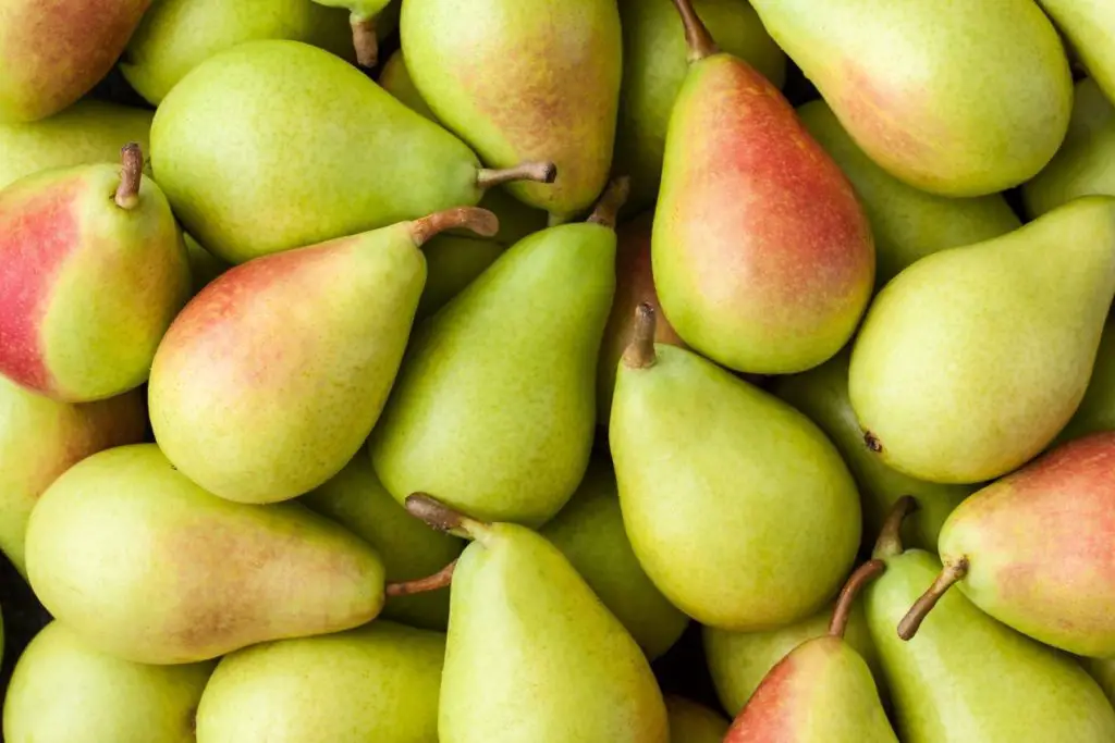 how to freeze pears