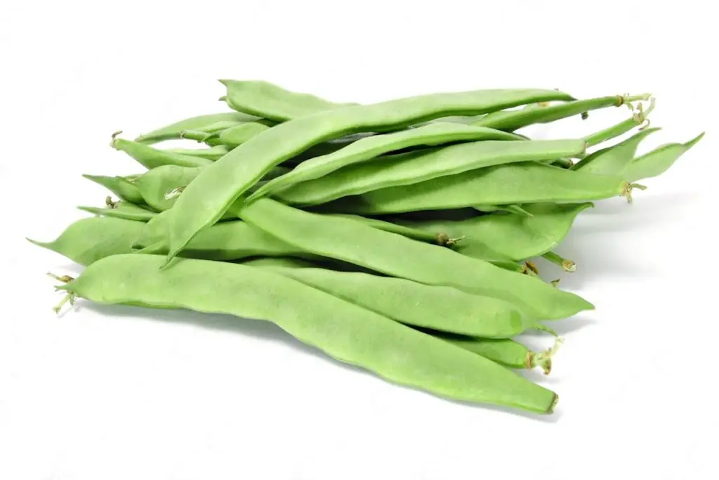 how to freeze runner beans