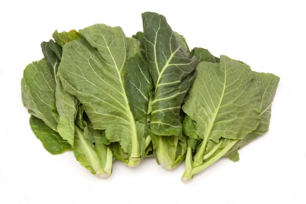 how to freeze spring greens
