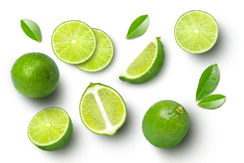 how to freeze lime leaves