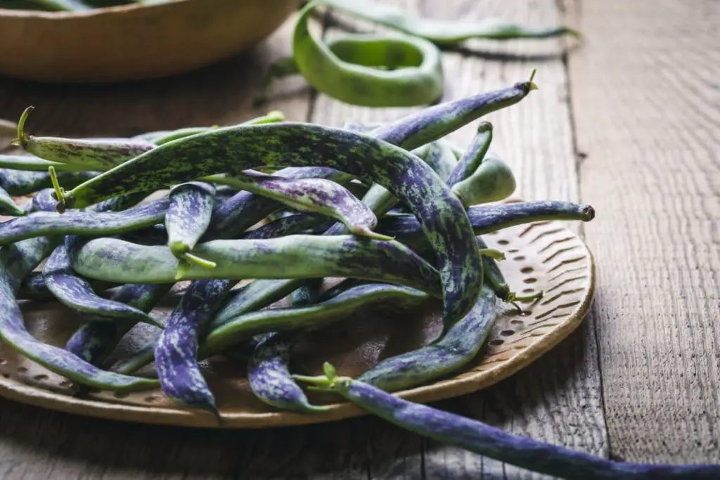 how to freeze rattlesnake beans